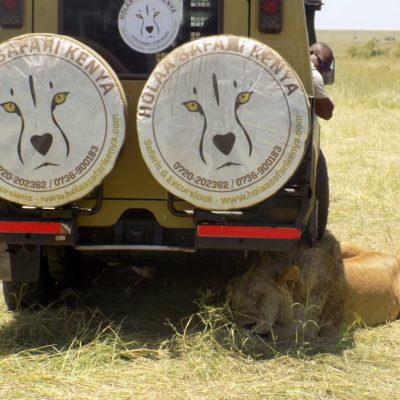 10-days-kenya-safari-1