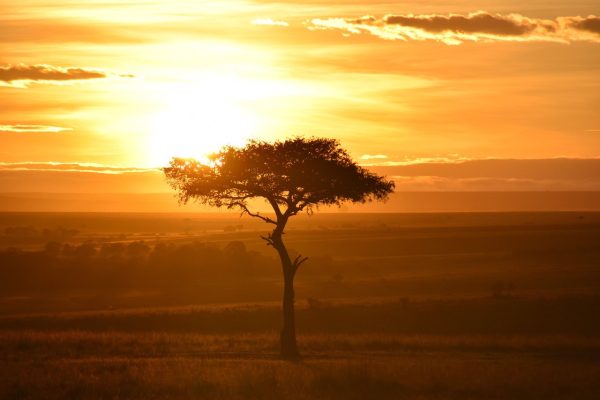 masai-mara-sunset