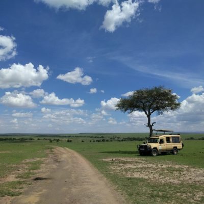 picnic-lunch-safari-kenya