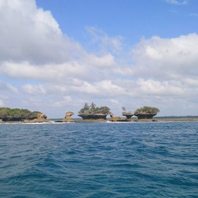 wasini-island-sea-life-kisite-mpunguti