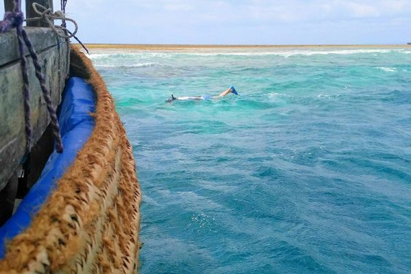 wasini-island-sea-life-snorkelling