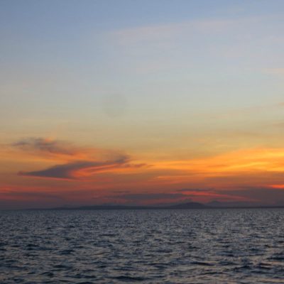 wasini-island-sea-life-sunset