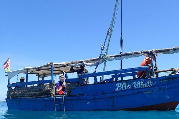 wasini-island-sea-life-the-boat